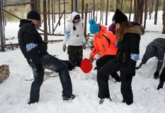 Изображение галереи 